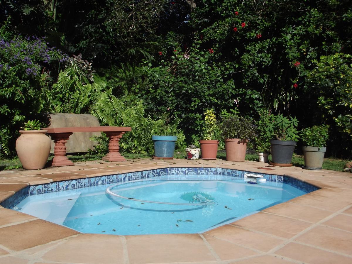 Bed and Breakfast Fig Tree Manor Self Catering Blythedale Beach Exteriér fotografie