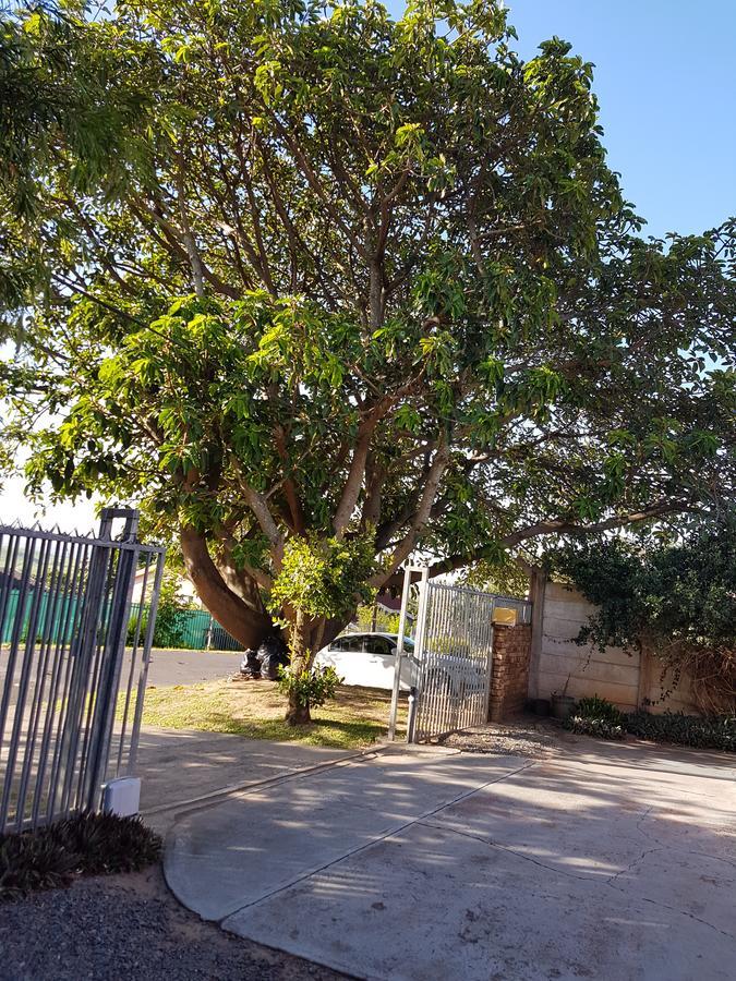 Bed and Breakfast Fig Tree Manor Self Catering Blythedale Beach Exteriér fotografie